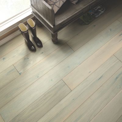 hardwood flooring in a entryway